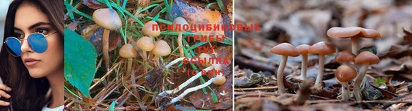 альфа пвп Снежинск