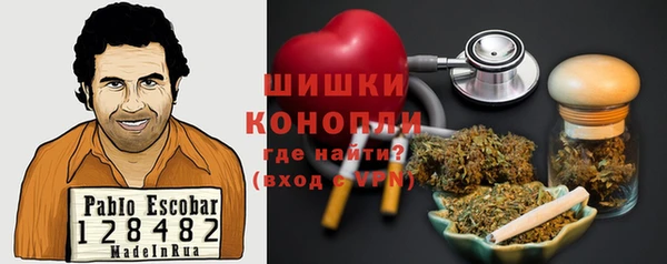 шишки Слюдянка