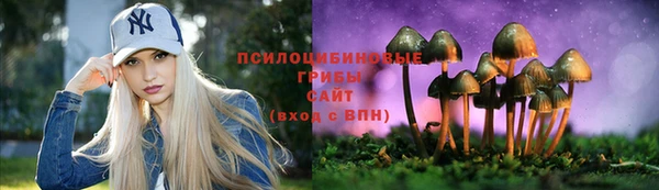 шишки Слюдянка