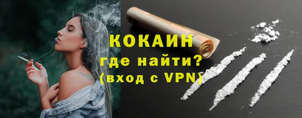 шишки Слюдянка