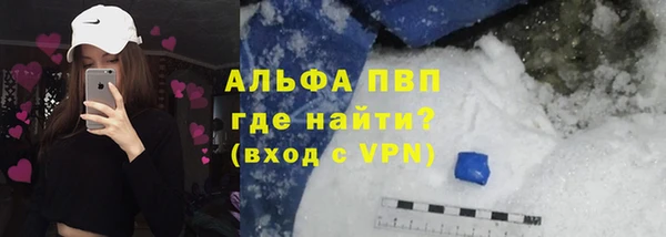 шишки Слюдянка