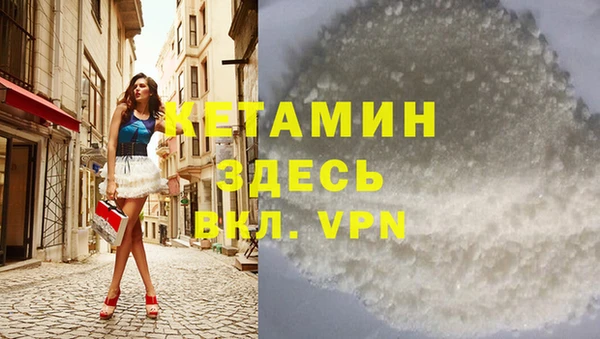 шишки Слюдянка