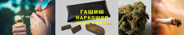 шишки Слюдянка