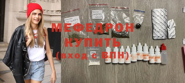 шишки Слюдянка