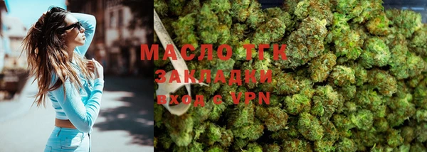 шишки Слюдянка