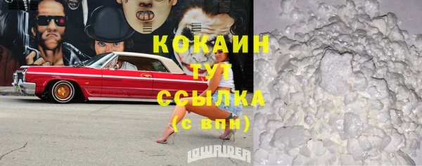 шишки Слюдянка