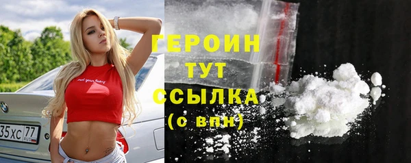 шишки Слюдянка