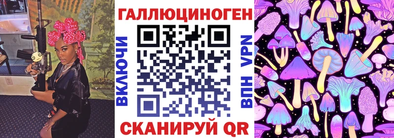 дарк нет официальный сайт  Урай  Галлюциногенные грибы Psilocybine cubensis 
